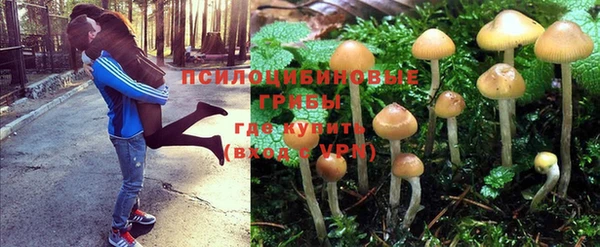 MDMA Вяземский