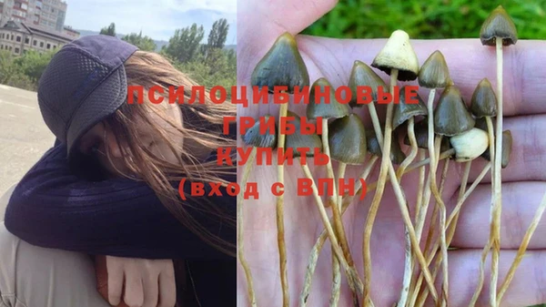 MDMA Вяземский